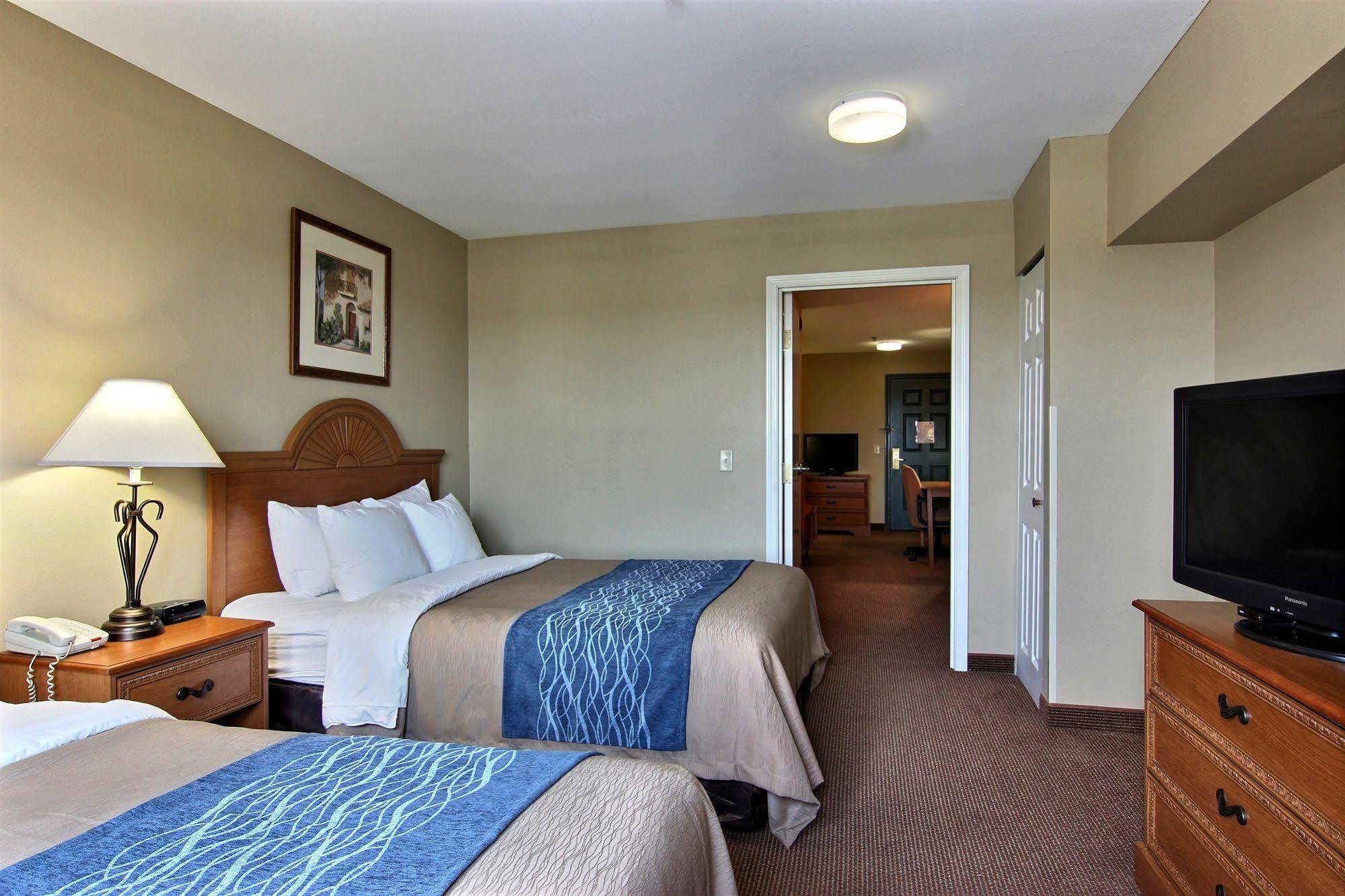 Comfort Inn & Suites Saint Augustine Exterior foto